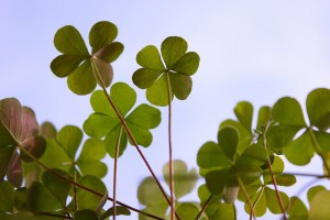 St Patrick's Day party