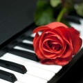 Romance and Music: The Perfect Combination