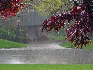 We Love The Sound Of Rain - Ambient Mixer