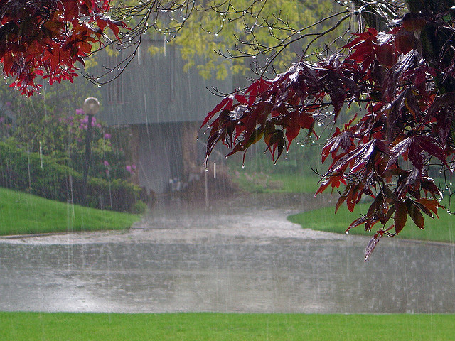 Rainy Days: Natural Rain Sounds by Mrs. Sleep on  Music 