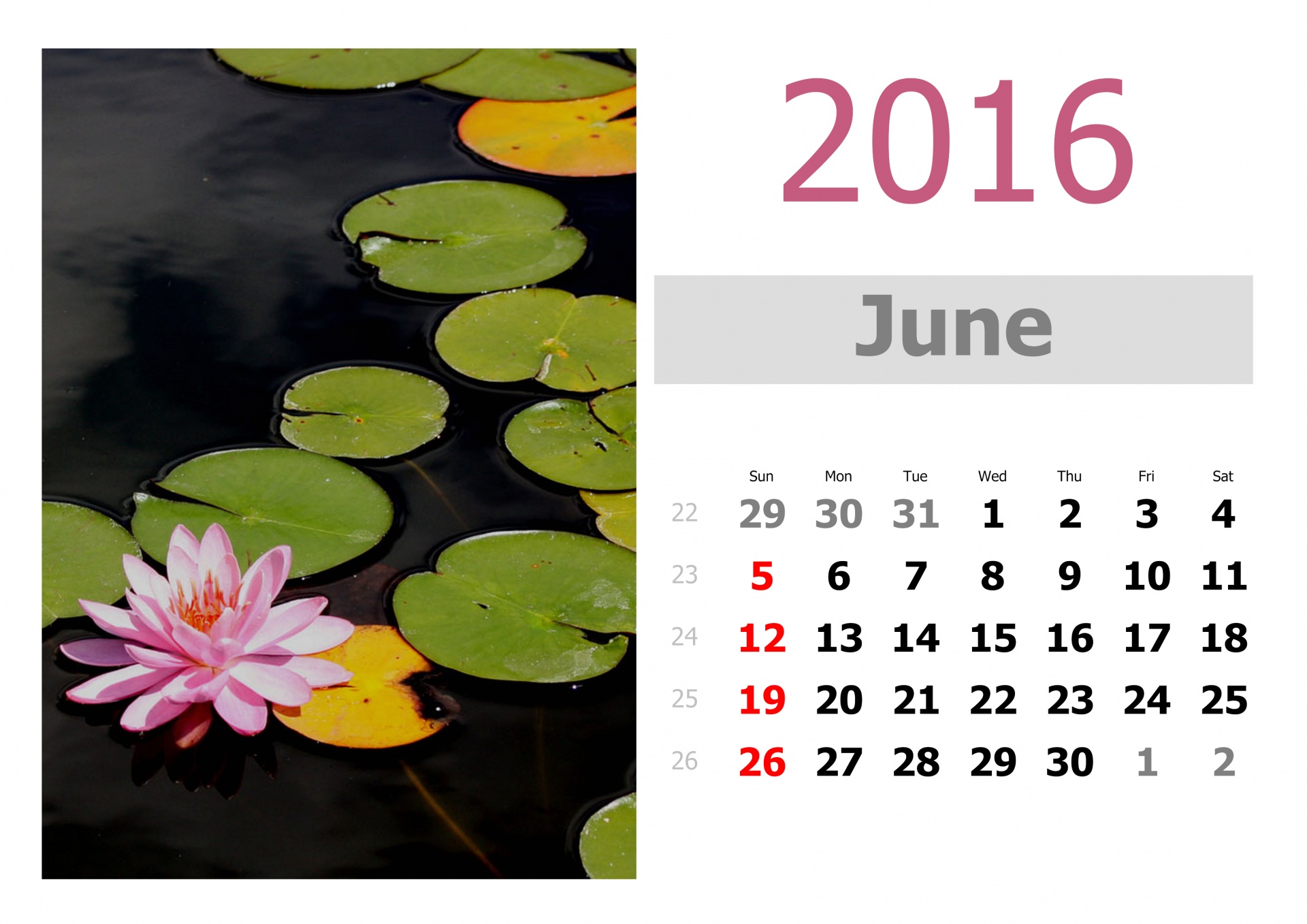 June Month Facts at Doris Berthold blog