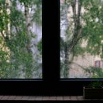 Rainy Summer