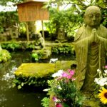 Quiet Zen Garden