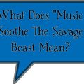 What Does "Music Soothe The Savage Beast Mean?