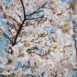 March
