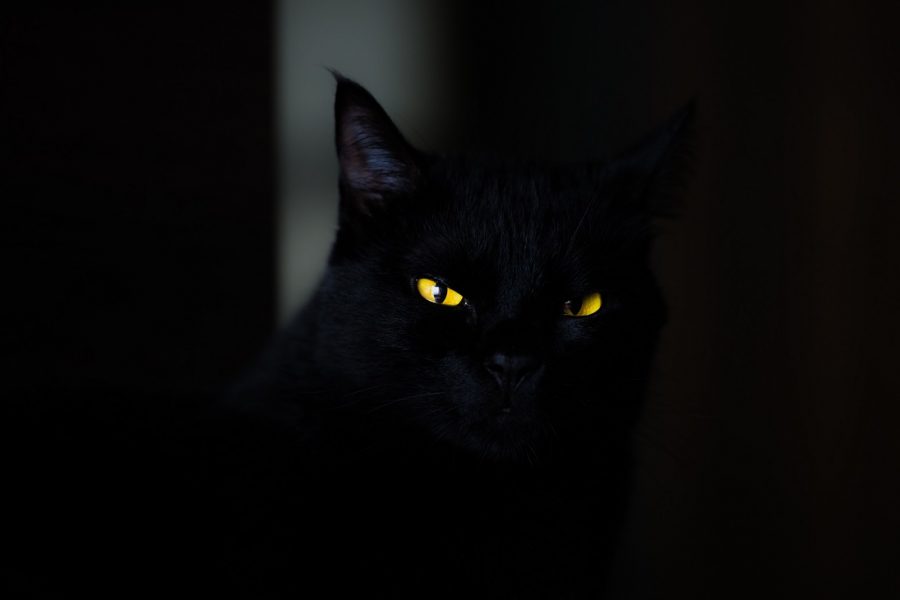  how to make scary music the ambient mixer blog