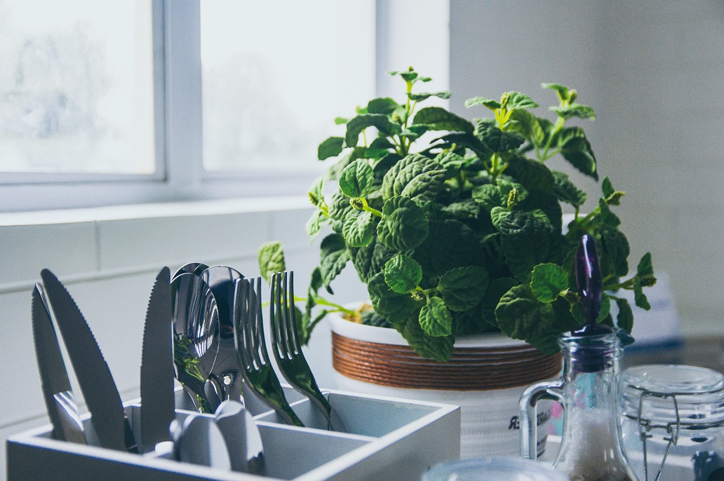 Adding a Fresh Vibe to Your Home