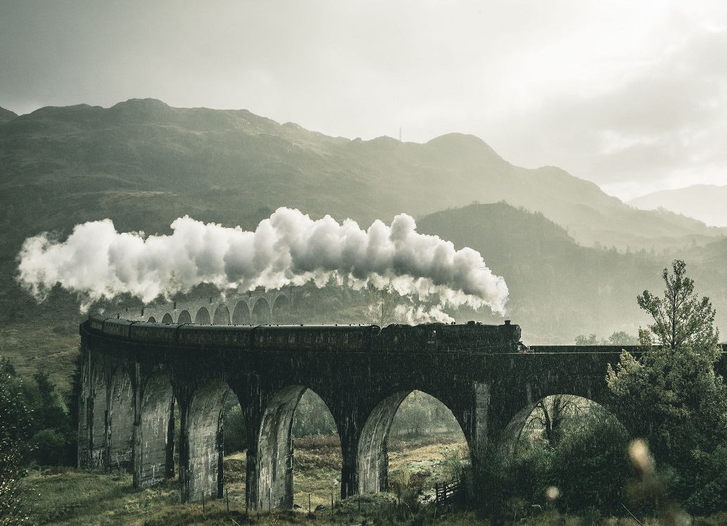 The Harry Potter Fandom is Still Going Strong