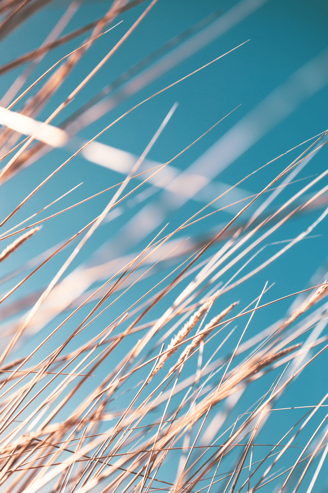 Top 10 Sounds for the Elements – Air - The Ambient Mixer Blog